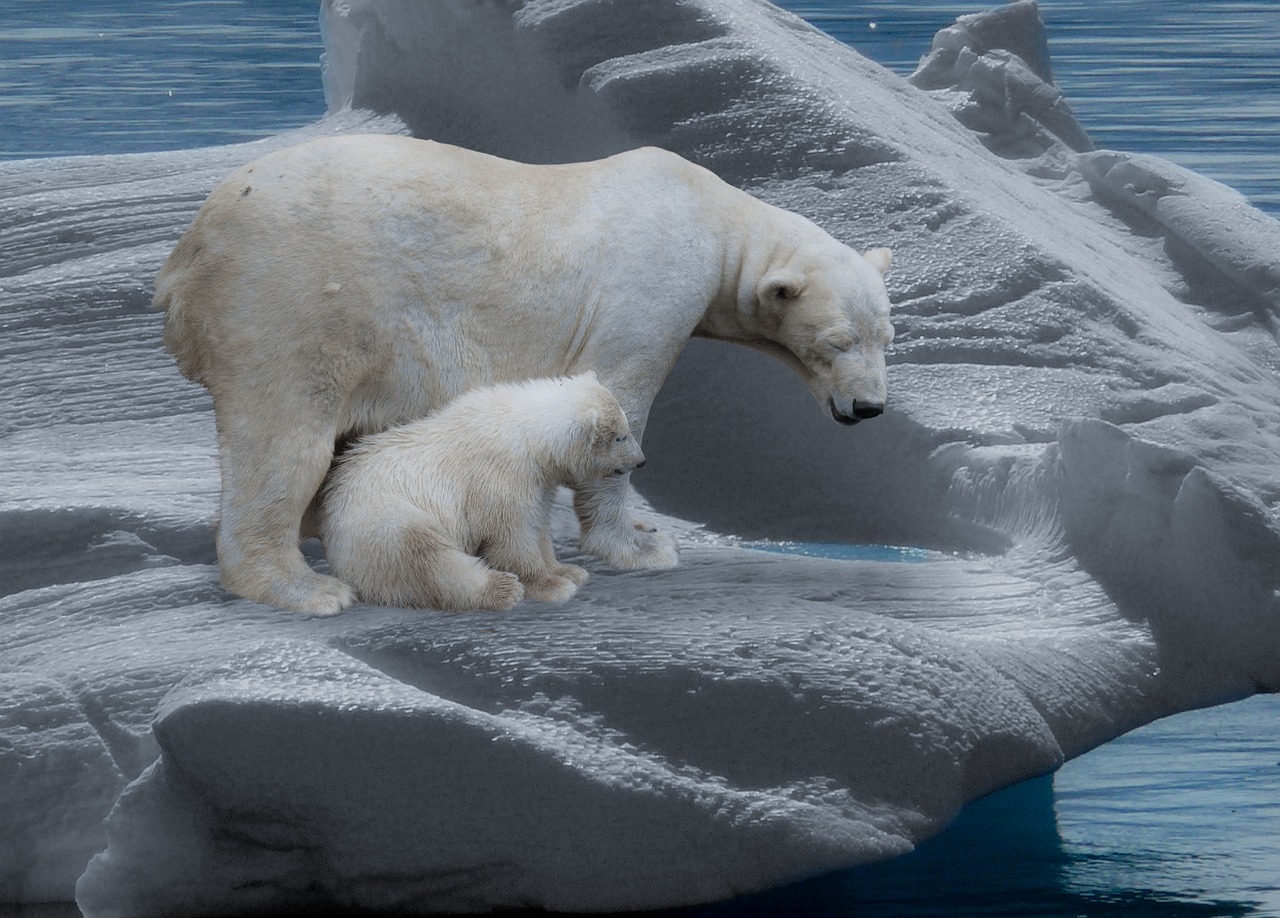 Embracing Change - The Heraclitian Principle